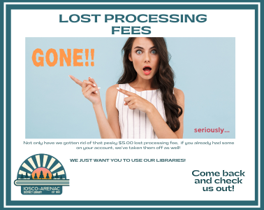 Lost Processing Fees_378x300